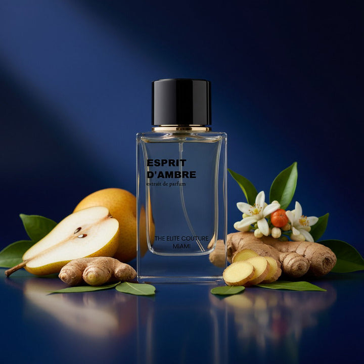 Esprit d’Ambre